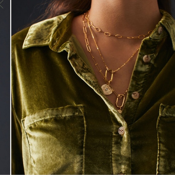 🧳 Pilcro Relaxed Velvet Buttondown - Picture 5 of 9